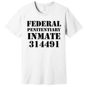 Federal Penitentiary Inmate Funny Halloween Prisoner Costume Premium T-Shirt