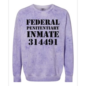 Federal Penitentiary Inmate Funny Halloween Prisoner Costume Colorblast Crewneck Sweatshirt