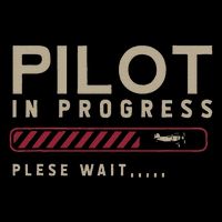Funny Pilot In Progress Please Wait Future Pilot Button