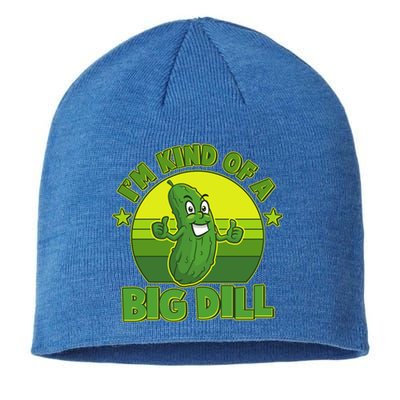 Funny Pickle I'm Kind Of A Big Dill Sustainable Beanie