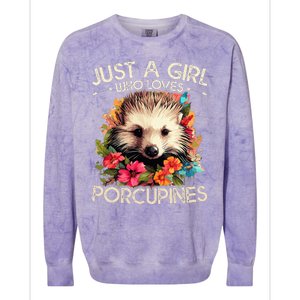 Floral Porcupine Just A Girl Who Loves Porcupines Colorblast Crewneck Sweatshirt