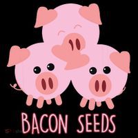 Funny Paleo Keto Bacon Seeds Three Pigs Stripe Pom Pom Beanie