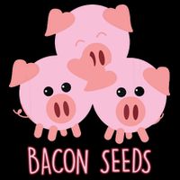 Funny Paleo Keto Bacon Seeds Three Pigs Flexfit Unipanel Trucker Cap