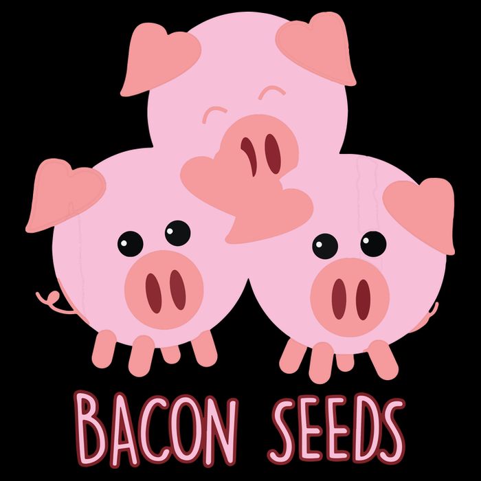 Funny Paleo Keto Bacon Seeds Three Pigs Flexfit Unipanel Trucker Cap