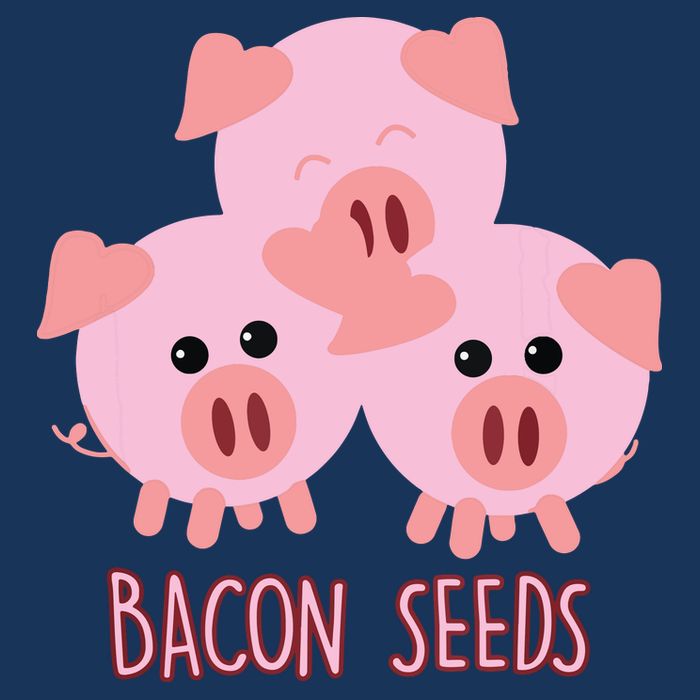 Funny Paleo Keto Bacon Seeds Three Pigs 16 in Basic Backpack