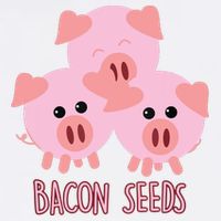 Funny Paleo Keto Bacon Seeds Three Pigs Garment-Dyed Sweatshirt