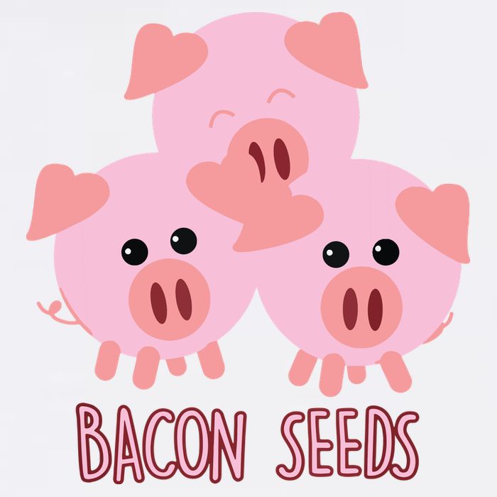 Funny Paleo Keto Bacon Seeds Three Pigs Garment-Dyed Sweatshirt