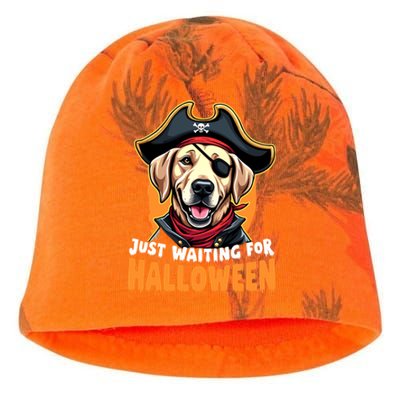 Funny Pirate Labrador Retriever Just Waiting For Halloween Gift Kati - Camo Knit Beanie