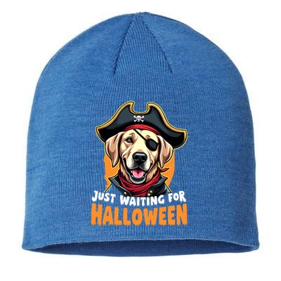 Funny Pirate Labrador Retriever Just Waiting For Halloween Gift Sustainable Beanie