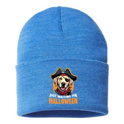 Funny Pirate Labrador Retriever Just Waiting For Halloween Gift Sustainable Knit Beanie