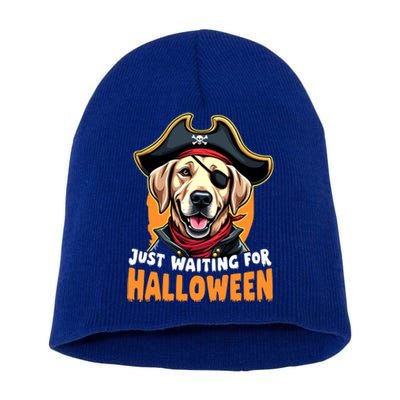 Funny Pirate Labrador Retriever Just Waiting For Halloween Gift Short Acrylic Beanie