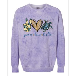 Funny Peace Love Turtle Gift Colorblast Crewneck Sweatshirt