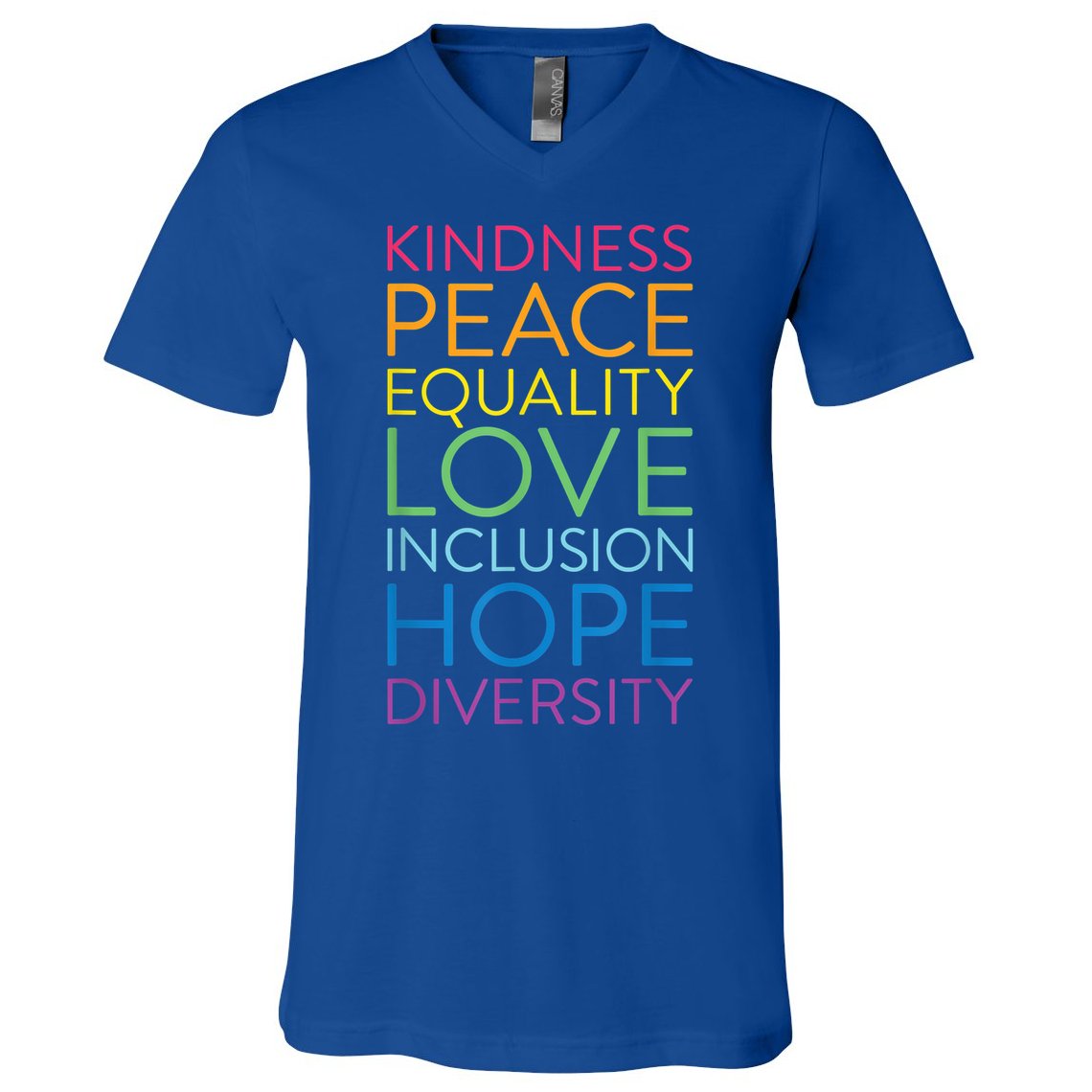 Funny Peace Love Inclusion Equality Diversity Human Rights Gift V-Neck T-Shirt