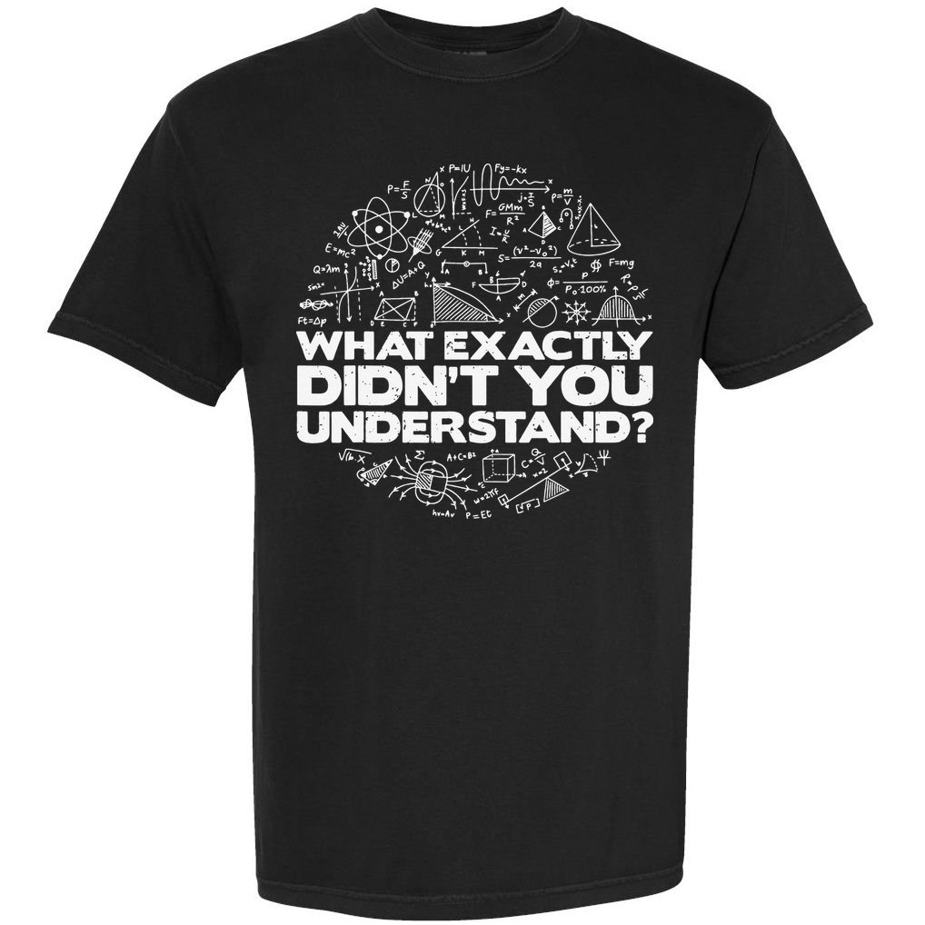 Funny Physics Lover Tee Physics Humor Comfort Colors T-Shirt