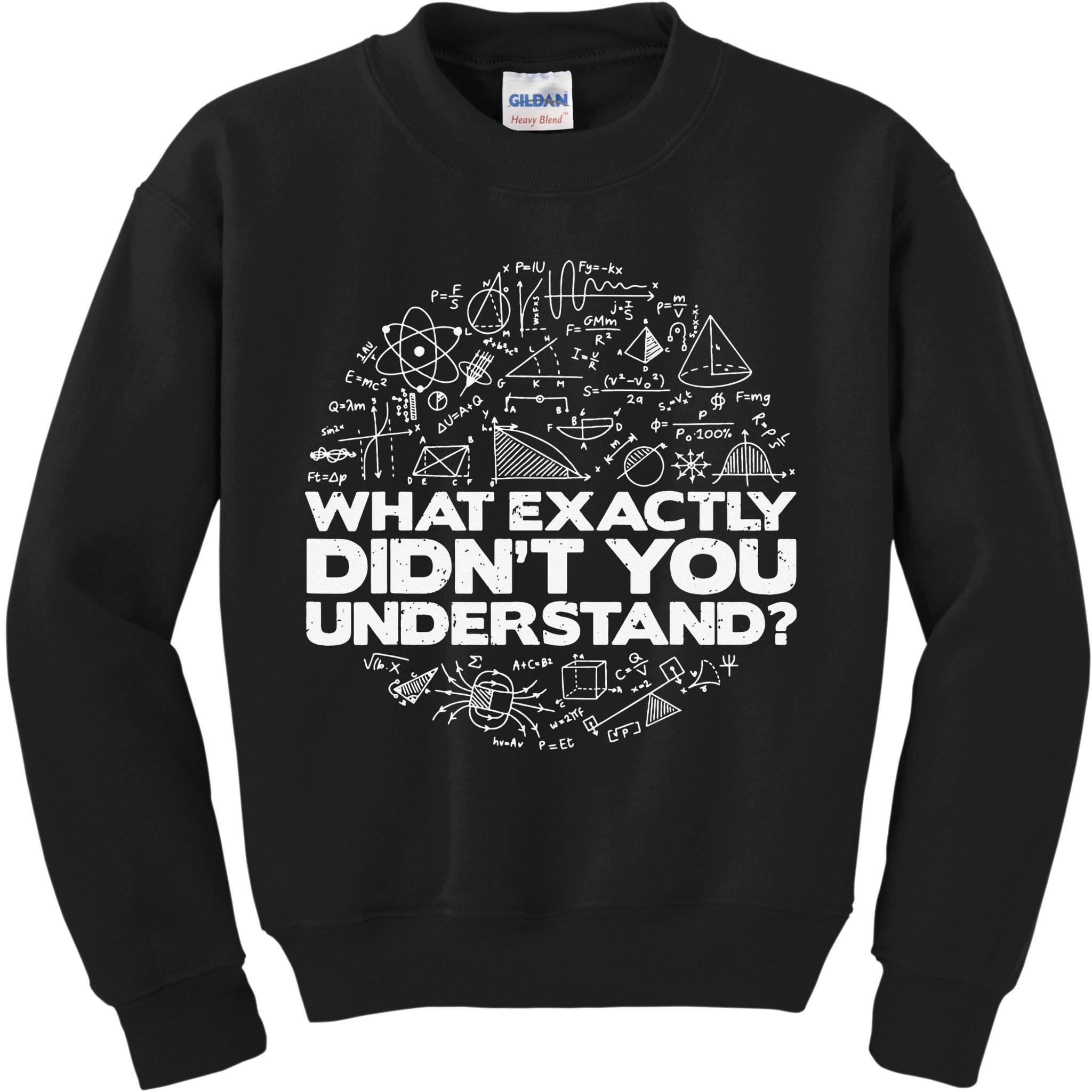 Funny Physics Lover Tee Physics Humor Kids Sweatshirt