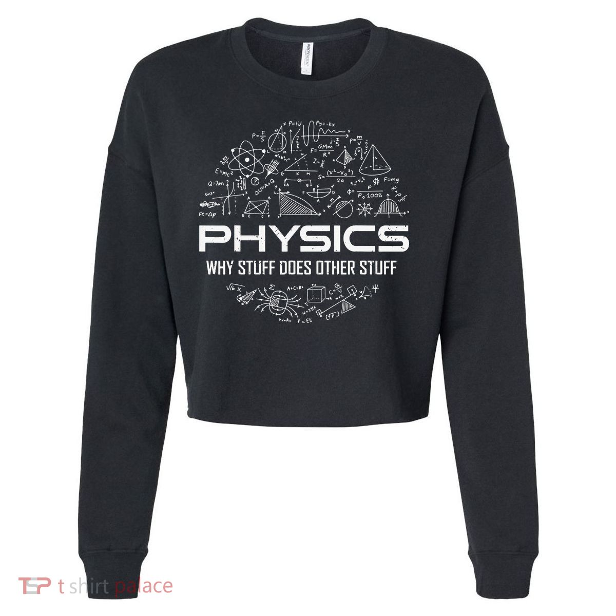 Funny Physics Lover Physics Humor Cropped Pullover Crew