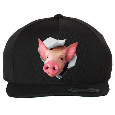 Funny Pig Lover Shirts Farm Animal Wool Snapback Cap