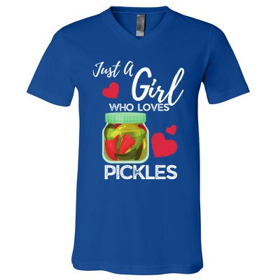 Funny Pickle Lovers Just A Who Loves Pickles Gift V-Neck T-Shirt