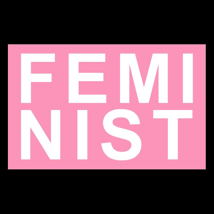 Feminist Pink Logo Women's V-Neck T-Shirt