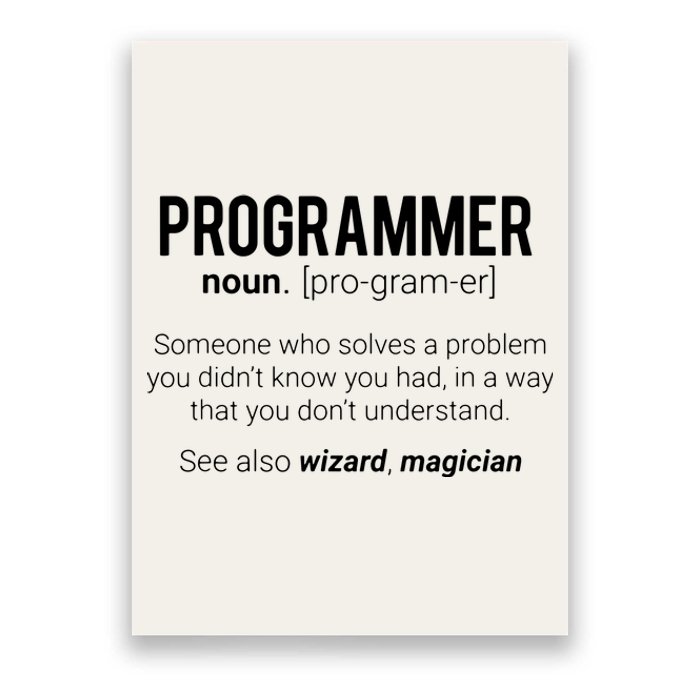 Funny Programmer Meaning Design Programmer Noun Defintion Poster