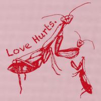 Funny Praying Mantis Retro Love Hurts Graphic 25L Jumbo Tote