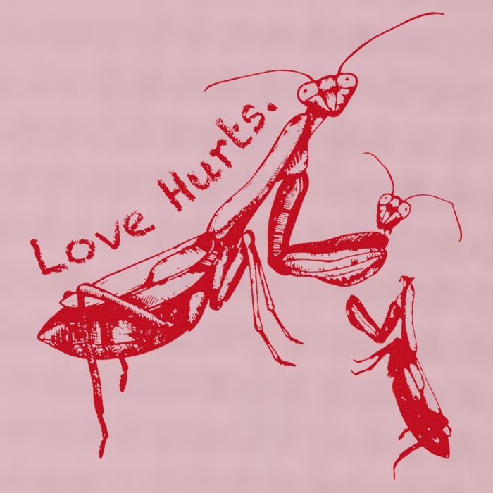 Funny Praying Mantis Retro Love Hurts Graphic 25L Jumbo Tote