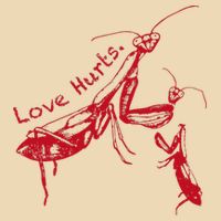 Funny Praying Mantis Retro Love Hurts Graphic Drawstring Bag