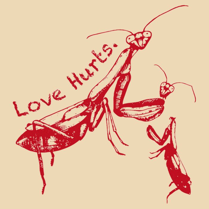 Funny Praying Mantis Retro Love Hurts Graphic Drawstring Bag