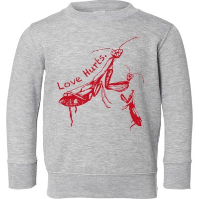 Funny Praying Mantis Retro Love Hurts Graphic Toddler Sweatshirt
