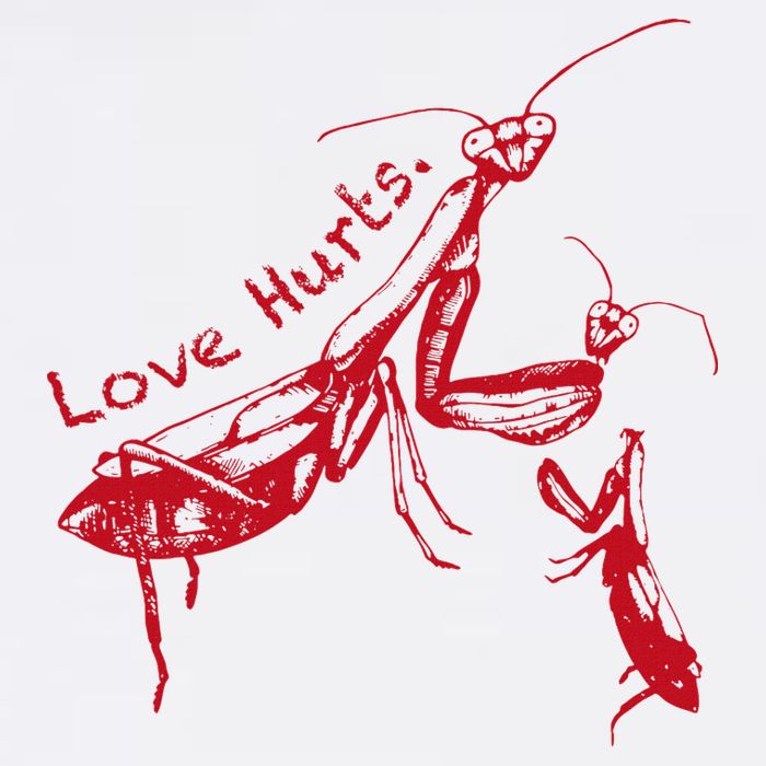 Funny Praying Mantis Retro Love Hurts Graphic Bucket Hat