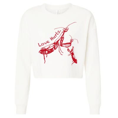 Funny Praying Mantis Retro Love Hurts Graphic Cropped Pullover Crew