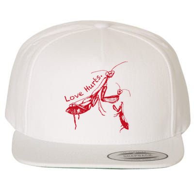 Funny Praying Mantis Retro Love Hurts Graphic Wool Snapback Cap