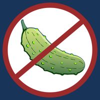 Fun Pickleball, No Pickle, Pickleball For Life Magnet