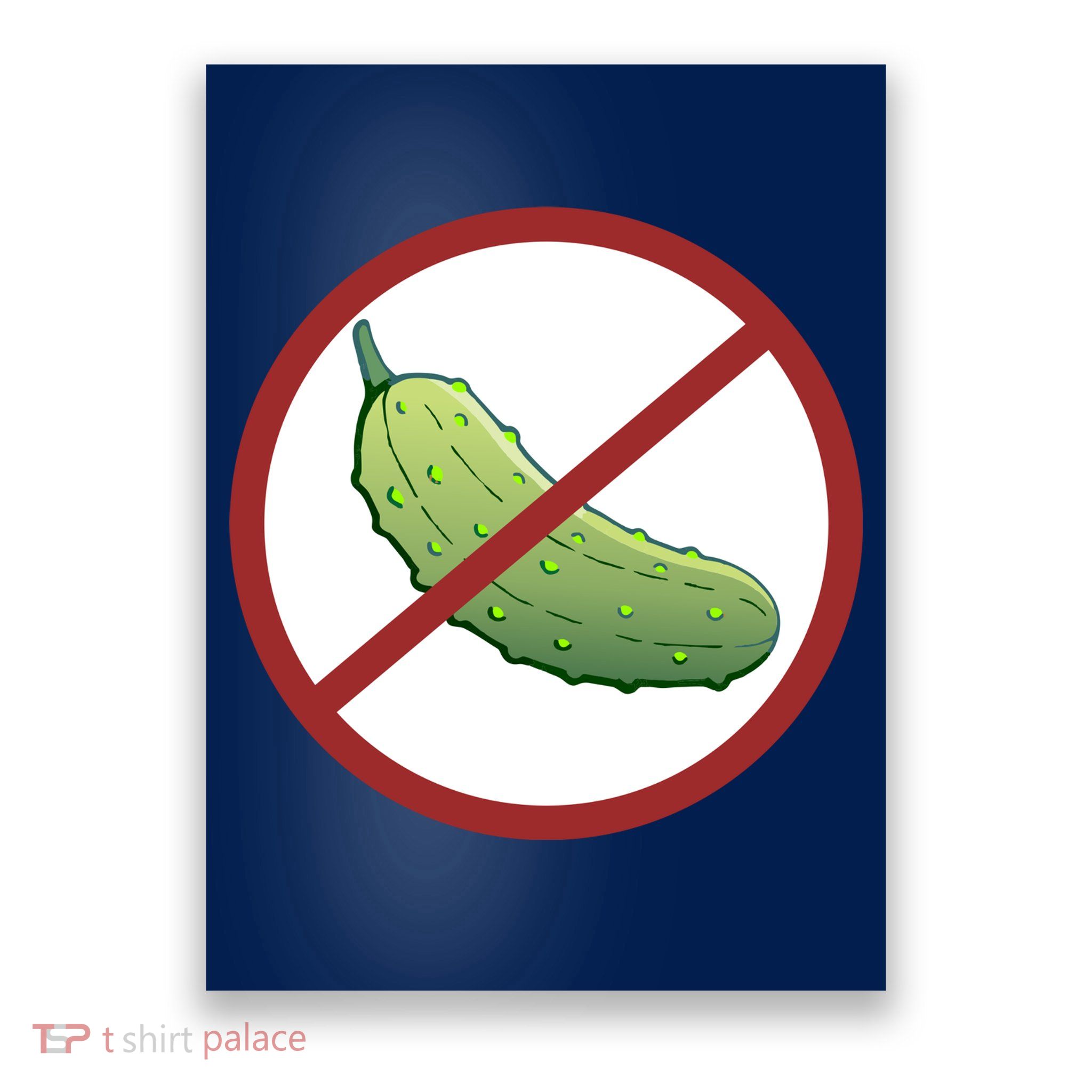 Fun Pickleball, No Pickle, Pickleball For Life Poster