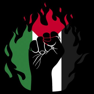 Free Palestine Palestine Flag T-Shirt