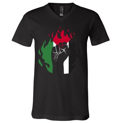 Free Palestine Palestine Flag V-Neck T-Shirt