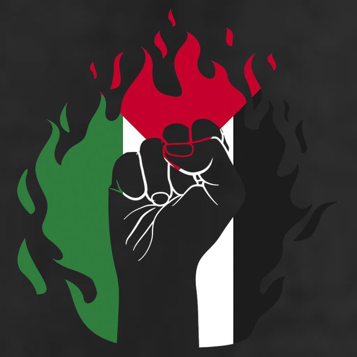 Free Palestine Palestine Flag 11oz C Handle Ceramic Mug