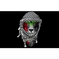 Free palestine Palestinian lion Bumper Sticker