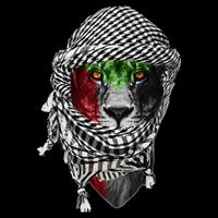 Free palestine Palestinian lion 16 in Basic Backpack