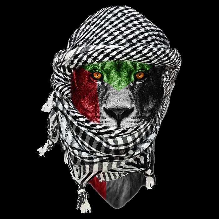 Free palestine Palestinian lion 16 in Basic Backpack