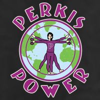 Funny Perkis Power Fitness Logo 7 Panel Mesh Trucker Snapback Hat
