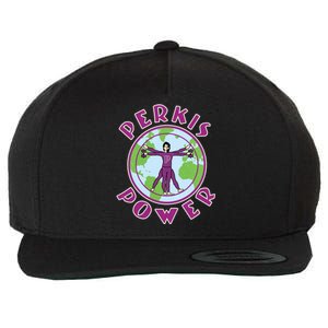 Funny Perkis Power Fitness Logo Wool Snapback Cap