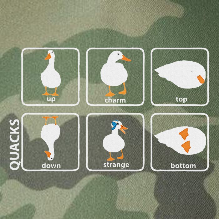 Funny Physics Pun Duck Teacher Science Math Legacy Tie Dye Trucker Hat