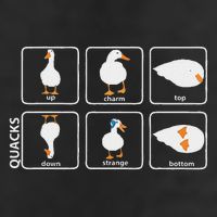 Funny Physics Pun Duck Teacher Science Math Cool Comfort Performance Bucket Hat