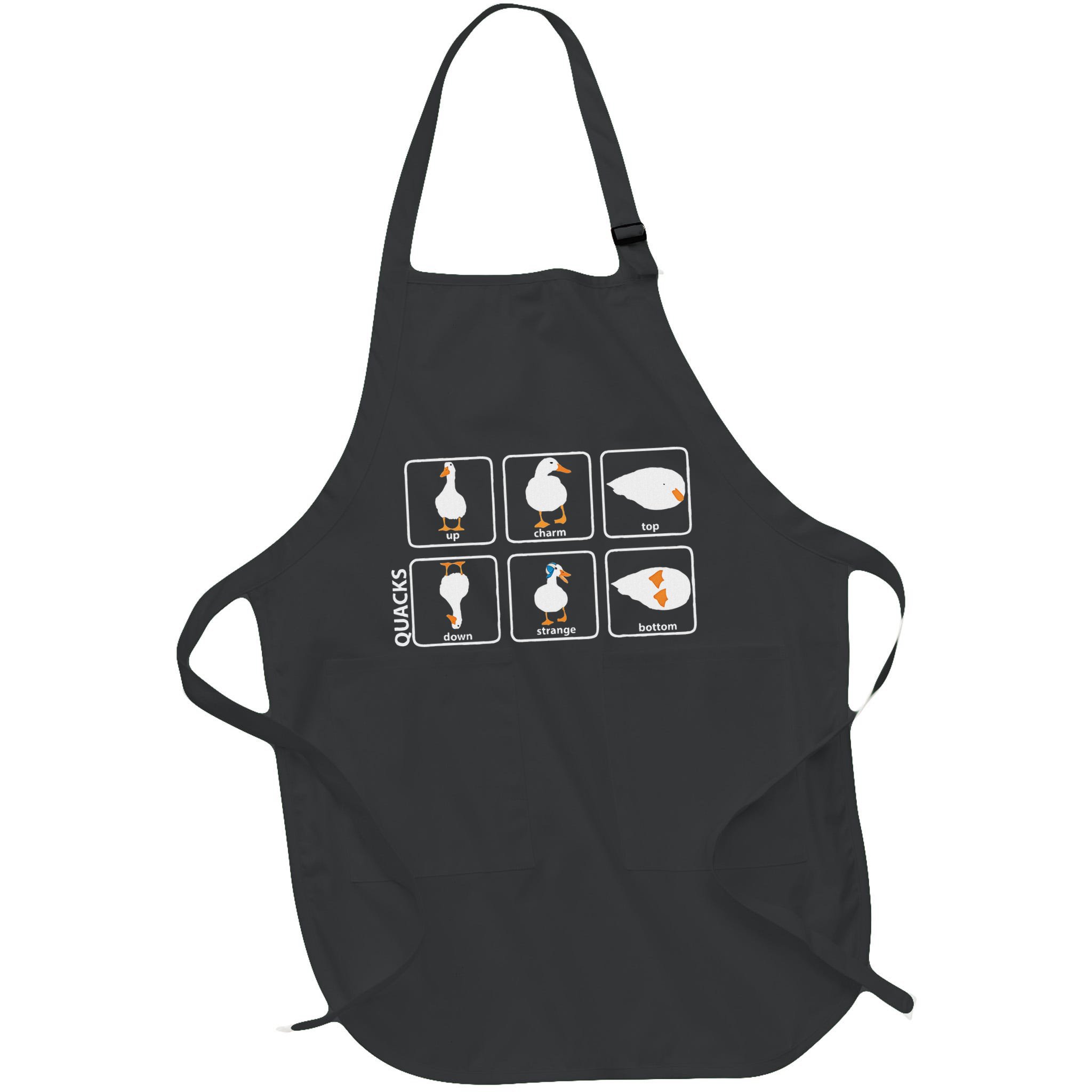 Funny Physics Pun Duck Teacher Science Math Apron