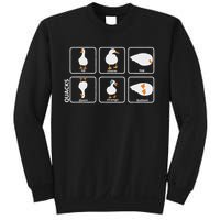 Funny Physics Pun Duck Teacher Science Math Sweatshirt