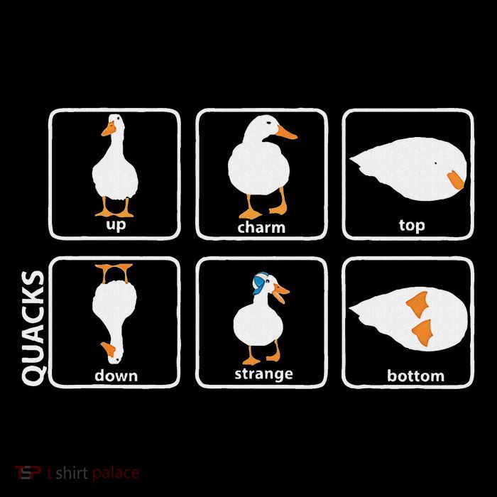 Funny Physics Pun Duck Teacher Science Math Sweatshirt
