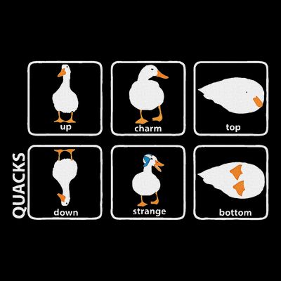 Funny Physics Pun Duck Teacher Science Math T-Shirt