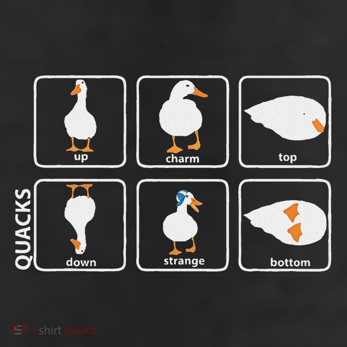Funny Physics Pun Duck Teacher Science Math Adult Drive Performance Visor