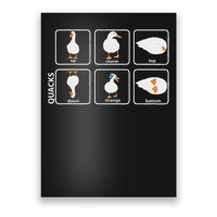 Funny Physics Pun Duck Teacher Science Math Poster